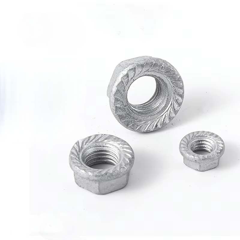 Hex Flange Nuts — view 4